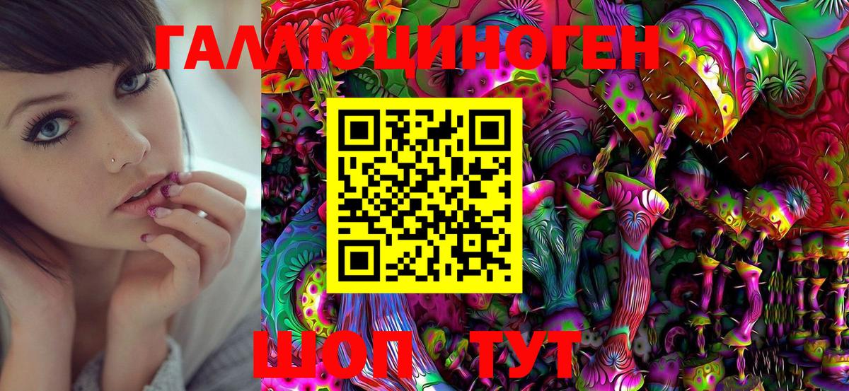 закладки  Псилоцибиновые грибы Cubensis  Вход с VPN  Керчь 